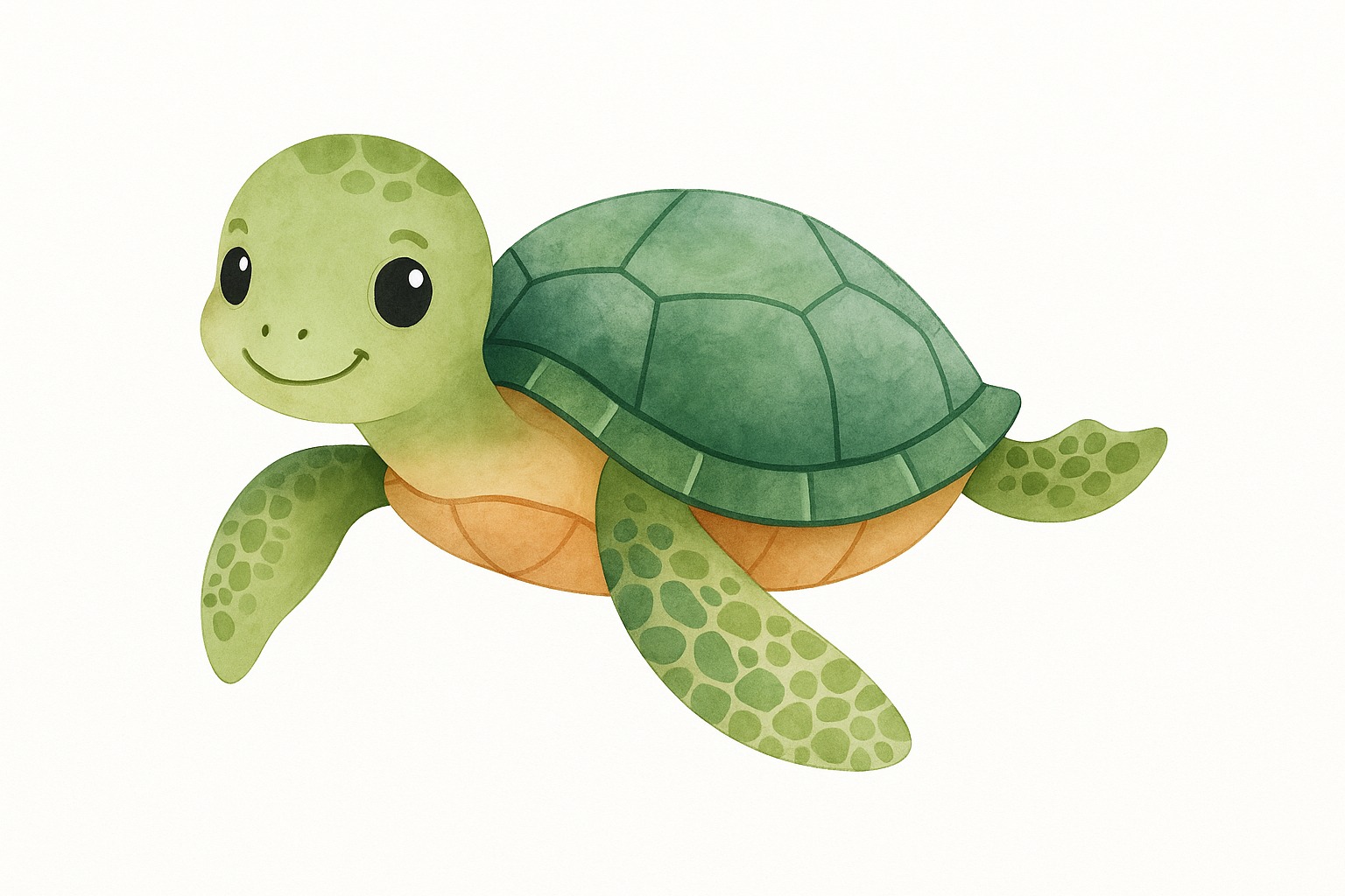 schildkroete